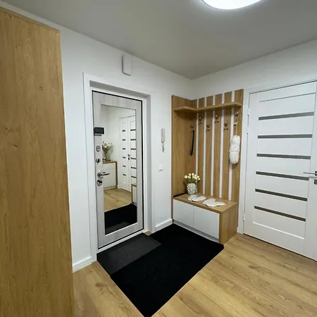 Filin With King Size Bed Апартаменты Кишинёв